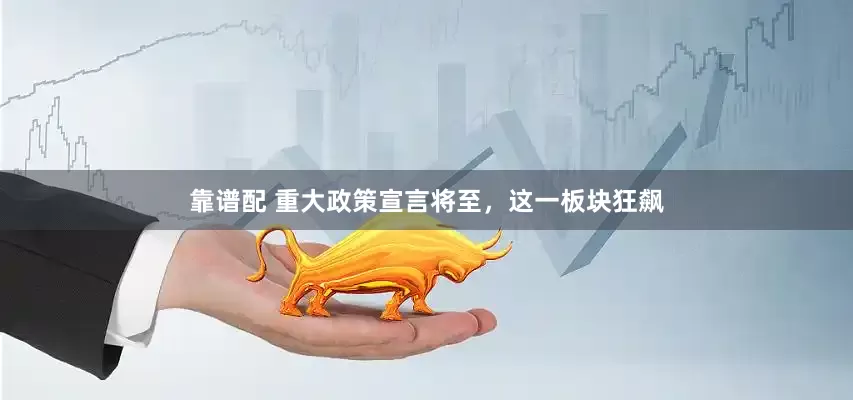 靠谱配 重大政策宣言将至，这一板块狂飙