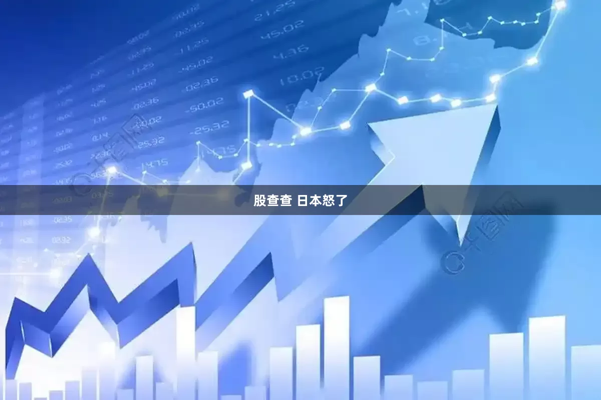 股查查 日本怒了