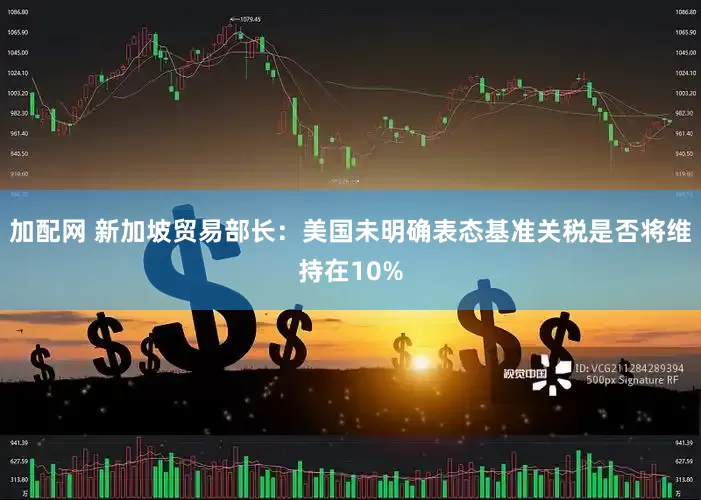 加配网 新加坡贸易部长：美国未明确表态基准关税是否将维持在10%