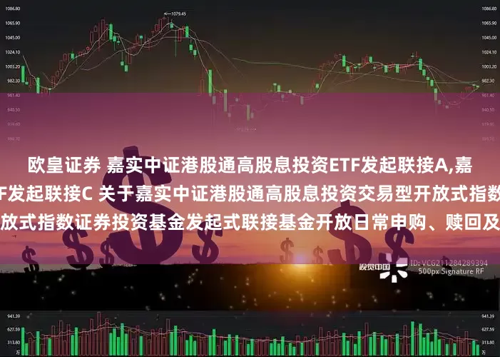 欧皇证券 嘉实中证港股通高股息投资ETF发起联接A,嘉实中证港股通高股息投资ETF发起联接C 关于嘉实中证港股通高股息投资交易型开放式指数证券投资基金发起式联接基金开放日常申购、赎回及定期定额投资业务的公告